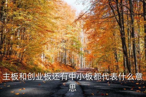 滬市主板是什么意思，什么是主板中小板和創(chuàng)業(yè)板它們都是干什么的請用白話簡短精