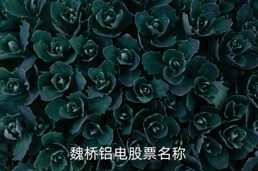宏橋跟魏橋什么關(guān)系，宏橋中學(xué)怎么退學(xué)費(fèi)