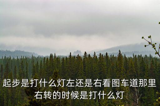 駕駛打右燈和左燈什么意思啊，起步是打什么燈左還是右看圖車道那里右轉(zhuǎn)的時(shí)候是打什么燈