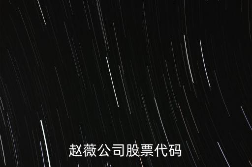 趙薇買的什么股票代碼，范冰冰 趙薇 股票5億買的什么股票