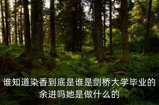 麥肯錫合伙人是什么，誰知道染香到底是誰是劍橋大學(xué)畢業(yè)的余進(jìn)嗎她是做什么的