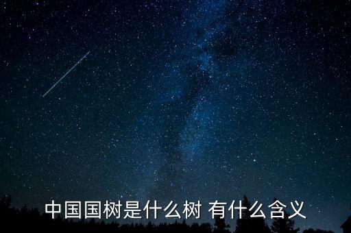 中國質(zhì)造是什么，中國國樹是什么樹 有什么含義