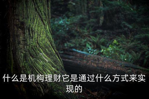 什么是機(jī)構(gòu)理財，什么是第三方的理財機(jī)構(gòu)
