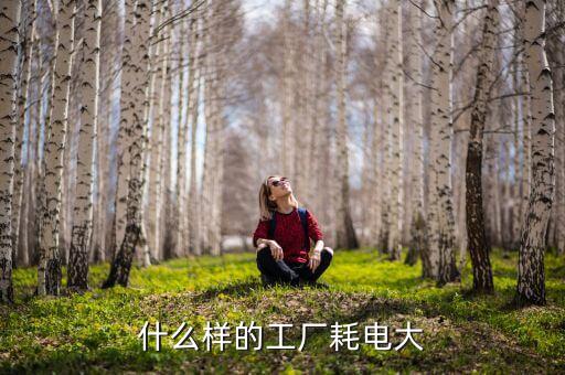 什么加工業(yè)費電，什么樣的工廠耗電大