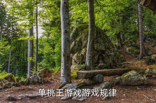 單挑王游戲機為什么能包賺不賠，單挑王游戲游戲規(guī)律