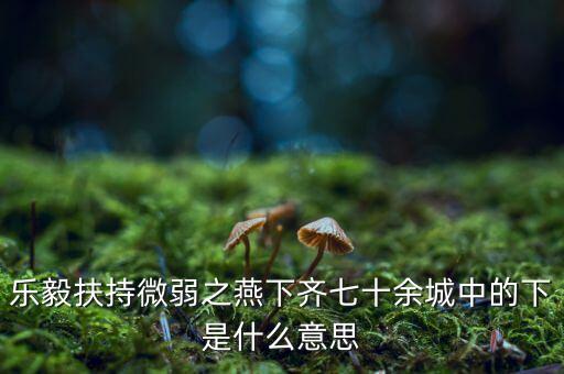 什么是進口替代戰(zhàn)略，樂毅扶持微弱之燕下齊七十余城中的下是什么意思