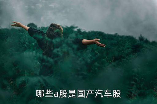 國(guó)什么汽車(chē)股票代碼是6多少，哪些a股是國(guó)產(chǎn)汽車(chē)股