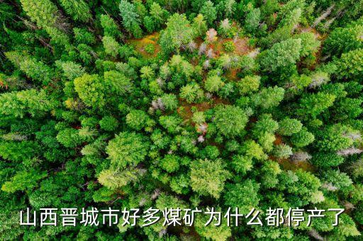 為什么礦山現(xiàn)在停產(chǎn)，為什么現(xiàn)在的礦業(yè)幾乎全部停產(chǎn)