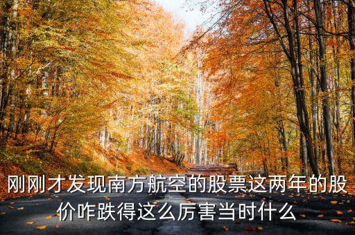 南航美股是什么意識(shí)，海南航空股票前帶lr300什么意思