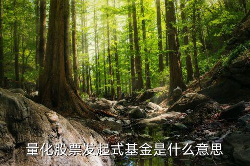 股票量化是什么意思，股份量化是什么意思