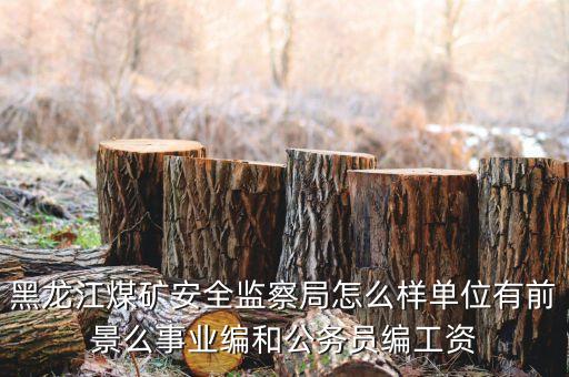 黑龍江煤礦安全監(jiān)察局怎么樣單位有前景么事業(yè)編和公務員編工資