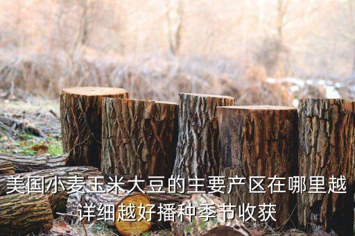 是美國(guó)什么和什么的主產(chǎn)區(qū)，美國(guó)小麥玉米大豆的主要產(chǎn)區(qū)在哪里越詳細(xì)越好播種季節(jié)收獲