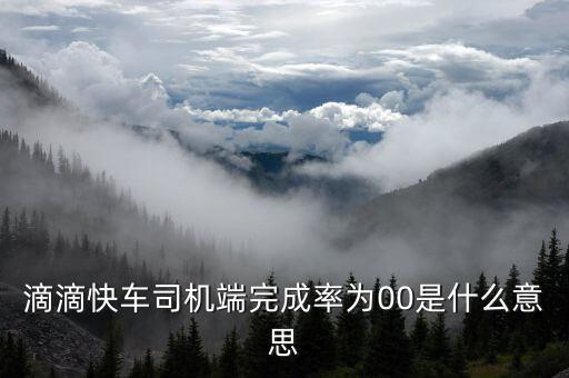滴滴快車完成率是什么意思，滴滴快車成交率百分之零啥意思