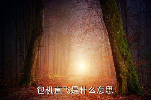 什么是包機(jī)航班，包機(jī)直飛是什么意思