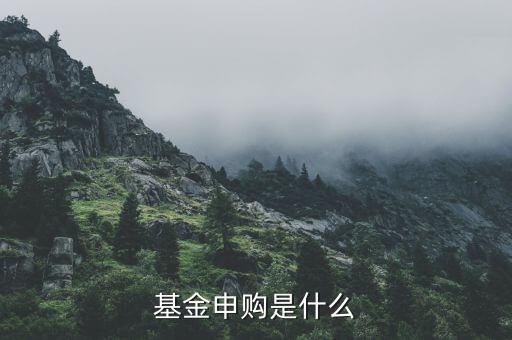 基金申購什么意思，基金支取基金申購什么意思