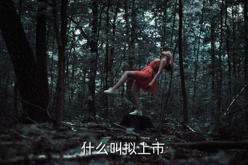 什么叫擬上市，什么是擬上市