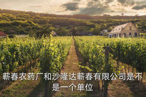 蘄春汪潮涌投資了什么，蘄春農藥廠和沙隆達蘄春有限公司是不是一個單位