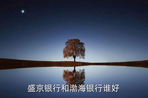 盛京銀行和渤海銀行誰好
