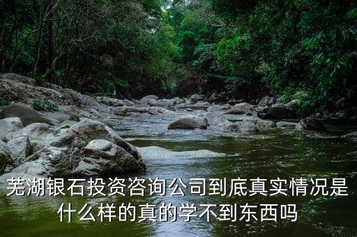 伯威控股是什么，威凌控股公司是做什么的