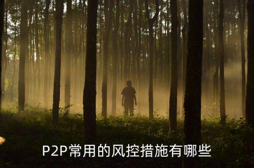 cppi的風(fēng)控措施是什么，p2p如何風(fēng)控P2P公司都用什么風(fēng)控系統(tǒng)