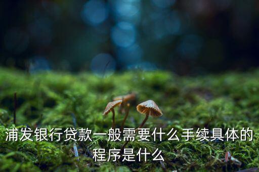 浦發(fā)銀行網(wǎng)貸通要什么條件，TB支持浦發(fā)  浦發(fā)開通網(wǎng)銀要什么條件比如要帶點(diǎn)什么的