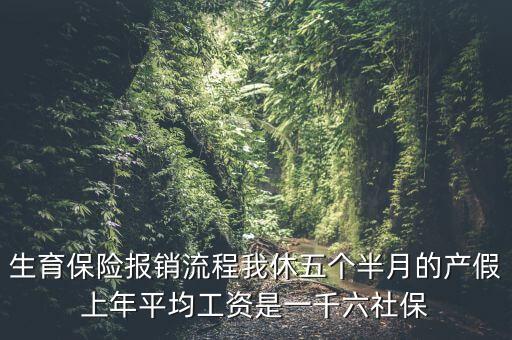 生育保險(xiǎn)報(bào)銷(xiāo)流程我休五個(gè)半月的產(chǎn)假上年平均工資是一千六社保