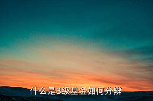 b類基金是什么意思，什么是b類基金