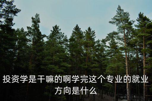 什么是投資學(xué)，上海財經(jīng)大學(xué) 公共經(jīng)濟與管理學(xué)院的 投資學(xué) 學(xué)的是什么