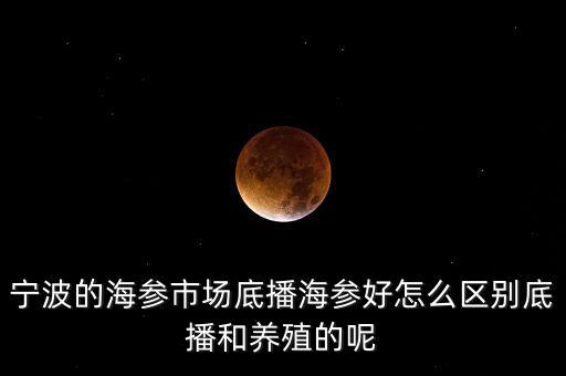 什么是底播海參，底播海參和非底播海參有什么區(qū)別