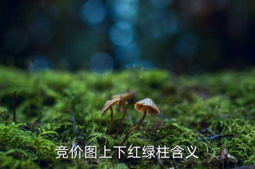 股票競價圖是什么意思，股票競價圖怎么看