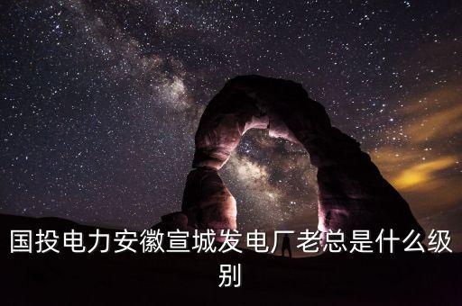 國電投什么級別，中國國電集團(tuán)是什么級別