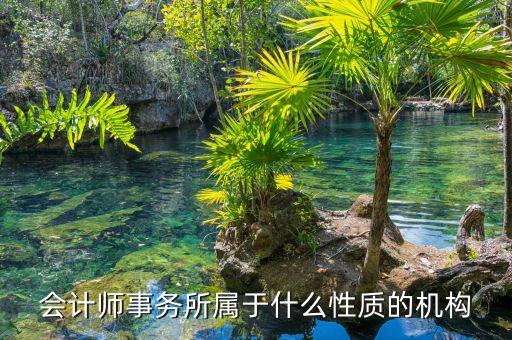鄭商所期衍所屬于什么性質(zhì)，會計師事務(wù)所屬于什么性質(zhì)的機構(gòu)