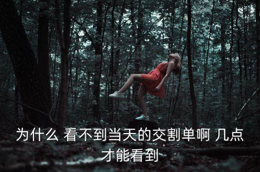 股票交割單什么時候可以查，國泰君安交易當晚幾點可以看到交割單信息