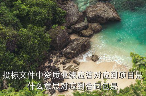 什么叫所投合同包，投標(biāo)文件中資質(zhì)業(yè)績(jī)應(yīng)答對(duì)應(yīng)到項(xiàng)目是什么意思對(duì)應(yīng)到合同包是