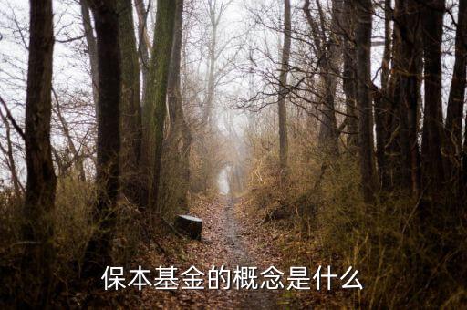 什么是資金錯配，什么是資金合并