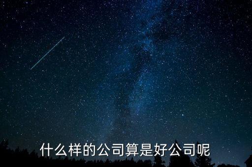 什么樣的公司是比較好的，有什么樣的公司是比較好的