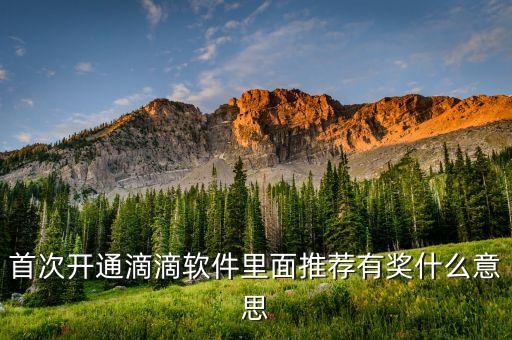 滴滴獎牌權(quán)益什么意思，滴滴單單獎利20元封頂什么意思