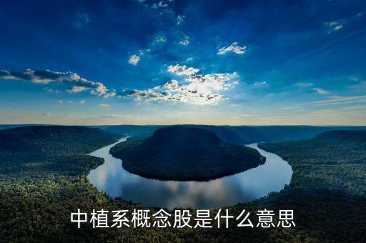 中植系是什么機(jī)構(gòu)，中植系概念股是什么意思