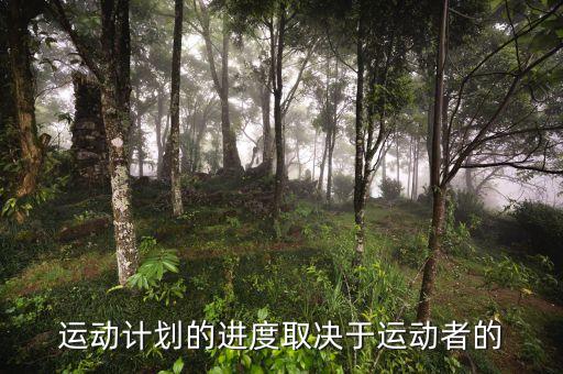 進(jìn)度安排的靈活性是什么決定，運(yùn)動(dòng)計(jì)劃的進(jìn)度取決于運(yùn)動(dòng)者的
