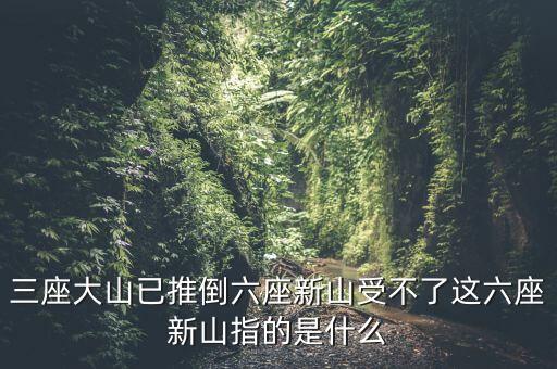 新三座大山反映了什么，新三座大山指的是什么