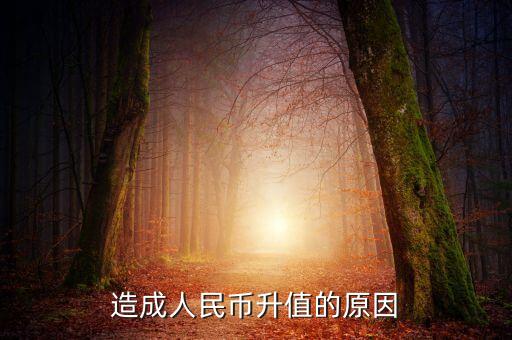 為什么貨幣升值，為什貨幣會(huì)升值