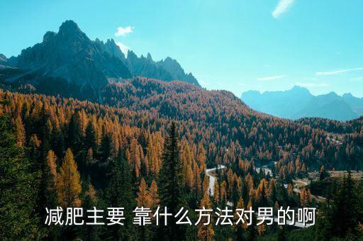 減肥主要 靠什么方法對(duì)男的啊