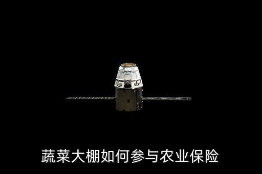 種大棚買保險(xiǎn)陪什么，蔬菜大棚入保險(xiǎn)請(qǐng)問入哪一類保險(xiǎn)