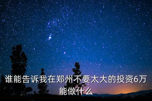 鄭州中研金融干什么的，誰(shuí)能告訴我在鄭州不要太大的投資6萬(wàn)能做什么