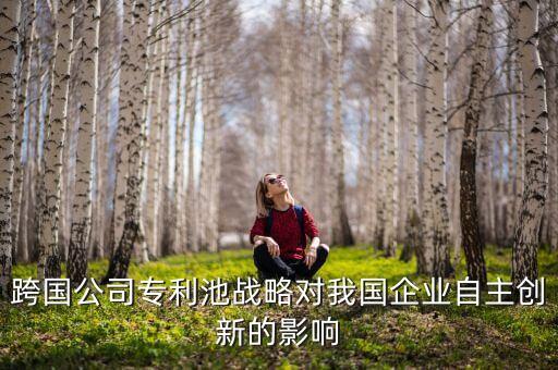 北京君正是什么公司，跨國公司專利池戰(zhàn)略對我國企業(yè)自主創(chuàng)新的影響