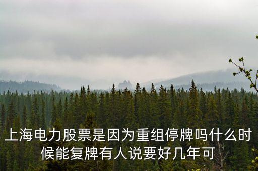 上海電氣什么時(shí)間復(fù)牌，上海電力股票是因?yàn)橹亟M停牌嗎什么時(shí)候能復(fù)牌有人說(shuō)要好幾年可