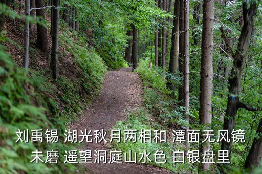 君山股份是做什么，劉禹錫 湖光秋月兩相和 潭面無風(fēng)鏡未磨 遙望洞庭山水色 白銀盤里