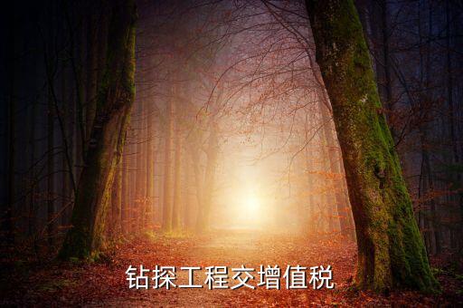 鉆探費(fèi)繳什么稅，鉆井公司主要繳納哪些稅
