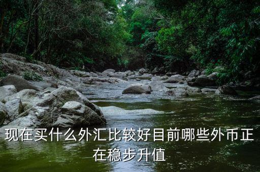 近期買什么外匯，預(yù)測(cè)人民幣匯率走勢(shì)是怎樣的 炒外匯現(xiàn)在買哪對(duì)外匯比較好