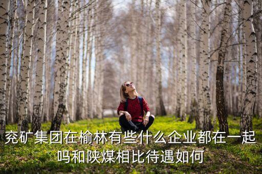 兗州煤業(yè)公司經(jīng)營什么，兗礦集團在榆林有些什么企業(yè)都在一起嗎和陜煤相比待遇如何